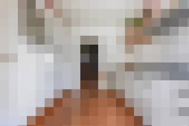 Beukendreef 50 Oisterwijk thumbnail 20