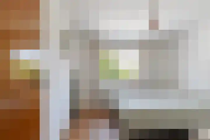 Beukendreef 50 Oisterwijk thumbnail 27