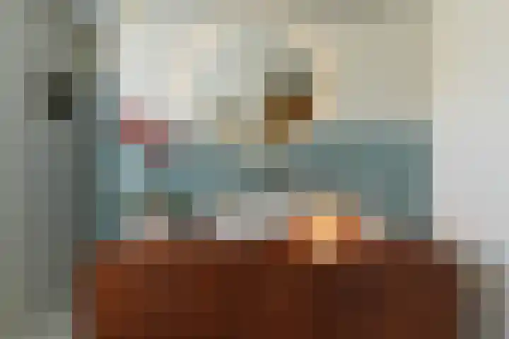 Beukendreef 50 Oisterwijk thumbnail 34