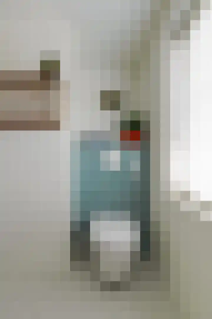Beukendreef 50 Oisterwijk thumbnail 37