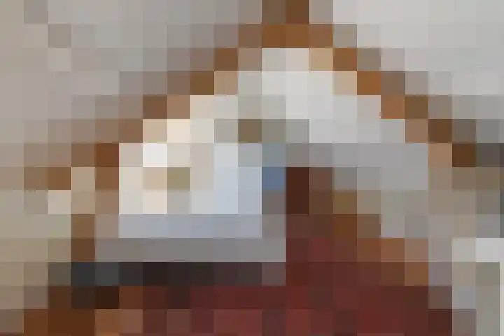 Beukendreef 50 Oisterwijk thumbnail 38