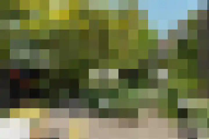 Beukendreef 50 Oisterwijk thumbnail 42