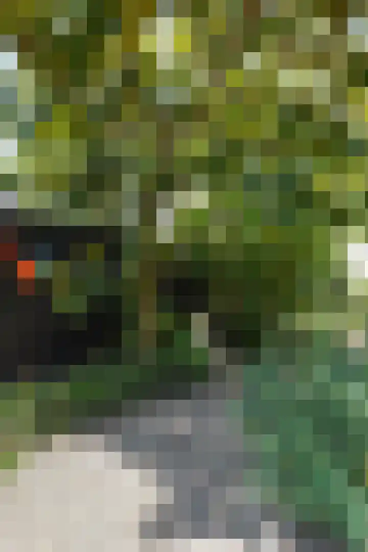 Beukendreef 50 Oisterwijk thumbnail 46