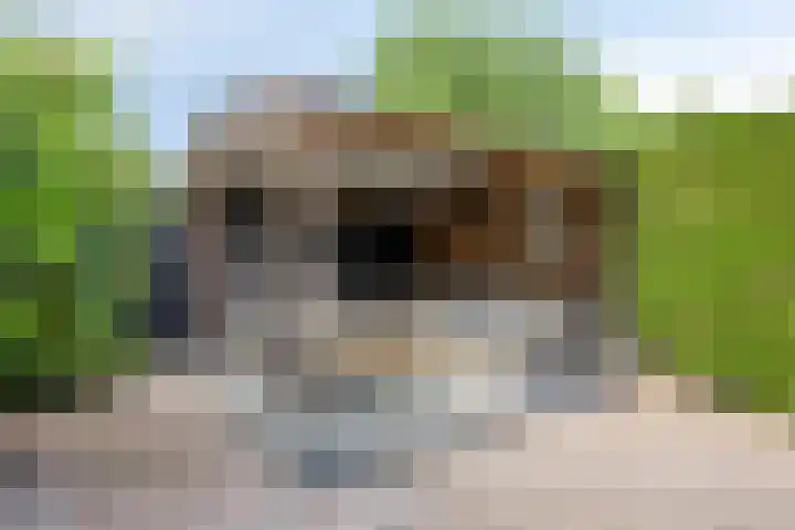 Beukengaard 40 Goirle thumbnail 29