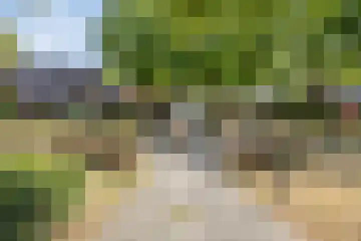 Beukengaard 40 Goirle thumbnail 31