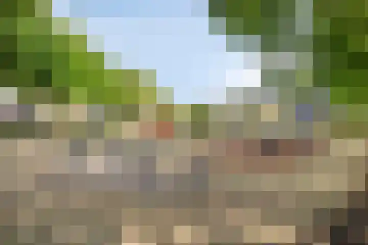 Beukengaard 40 Goirle thumbnail 32