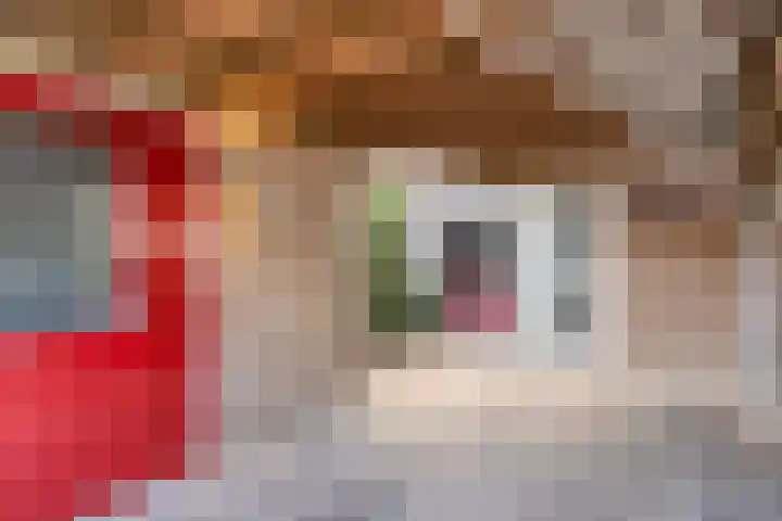 Beukengaard 40 Goirle thumbnail 4