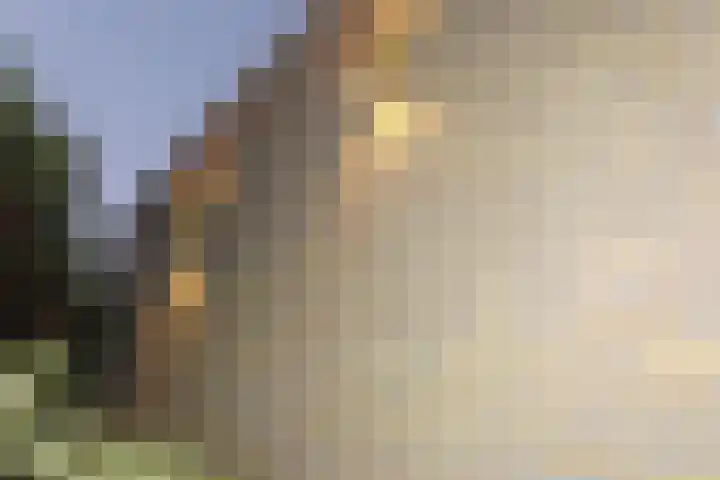 Beukengaard 40 Goirle thumbnail 5