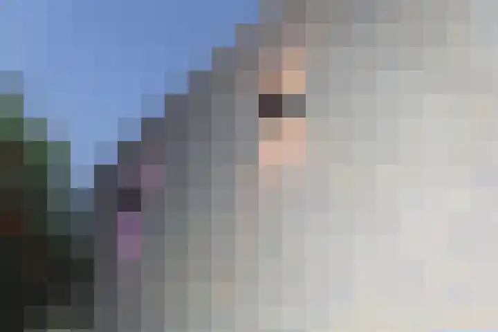 Beukengaard 40 Goirle thumbnail 6