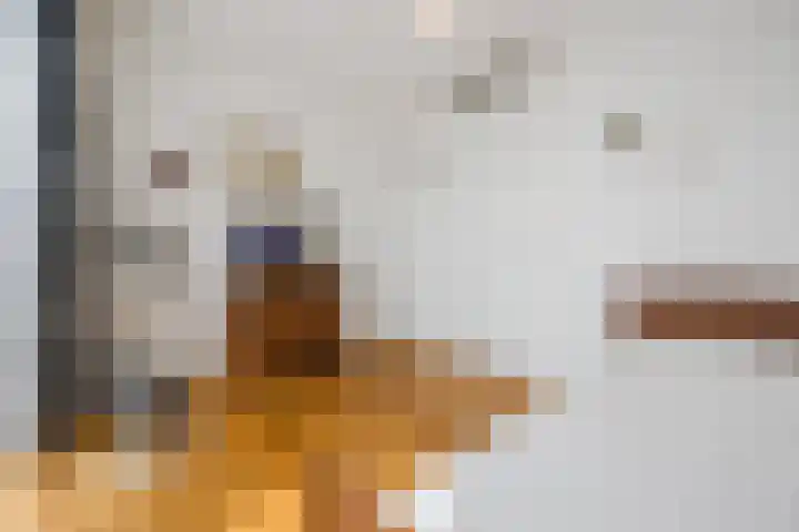 Beukenhof 26 Made thumbnail 38