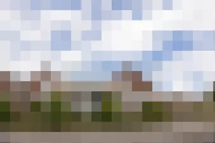 Beukenhof 26 Made thumbnail 4