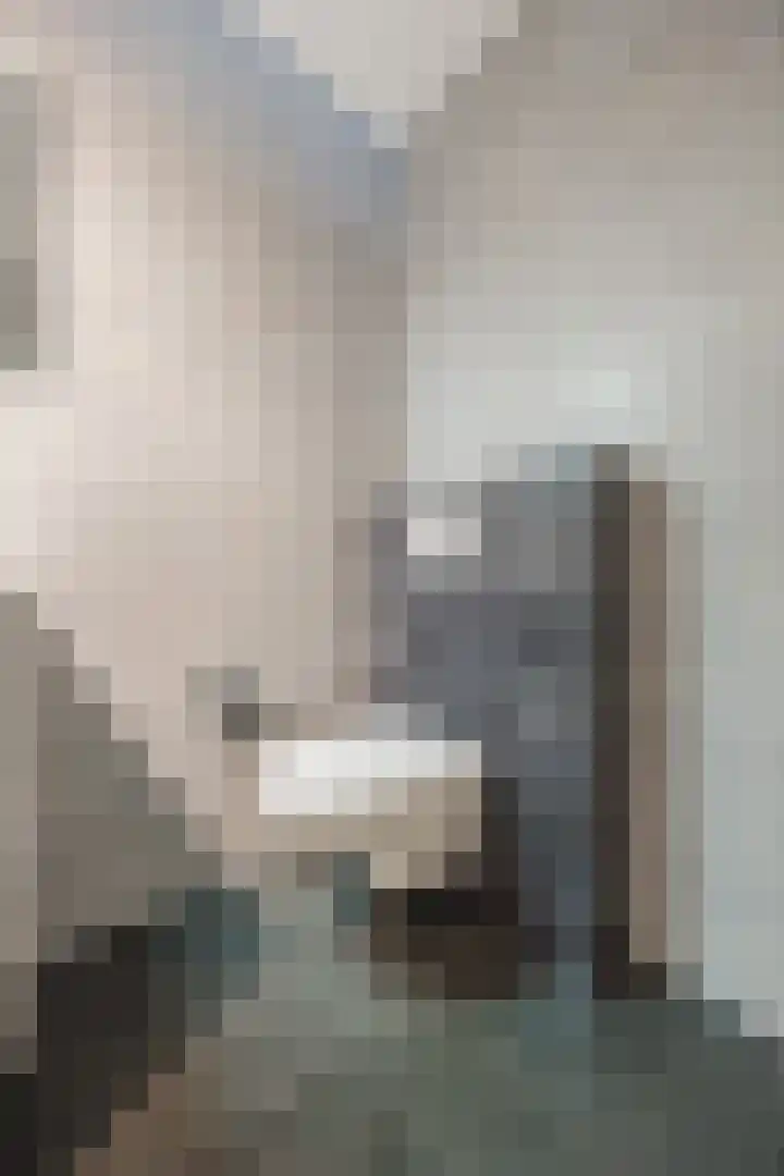 Beukenhof 26 Made thumbnail 41