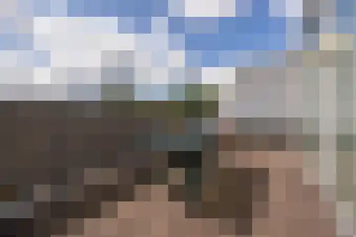Beukenhof 26 Made thumbnail 44