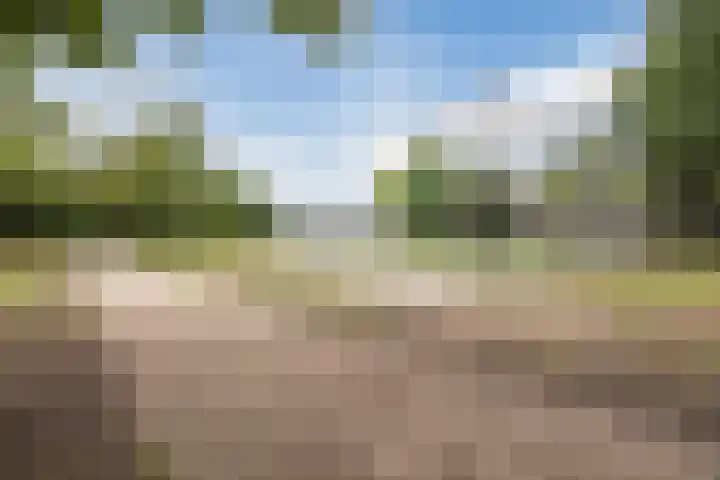 Beukenhof 26 Made thumbnail 49
