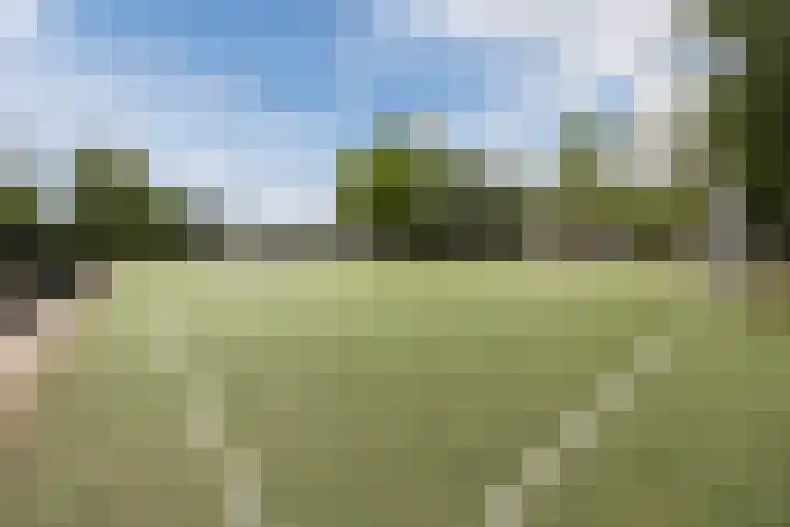 Beukenhof 26 Made thumbnail 50