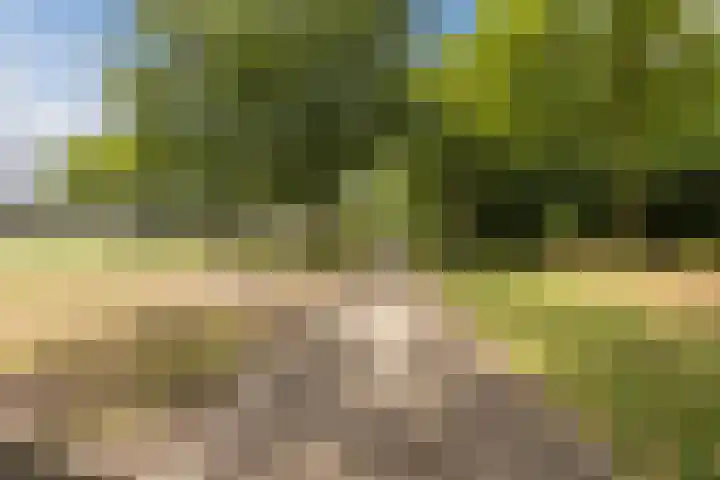 Beukenhof 26 Made thumbnail 51