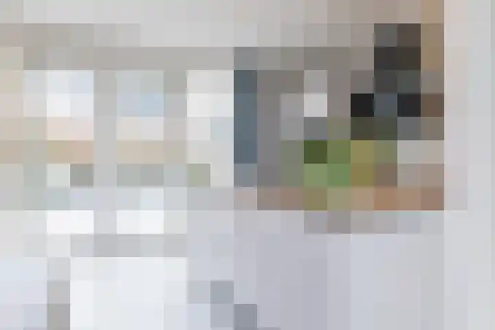 Beukenhof 3 Nuth thumbnail 18