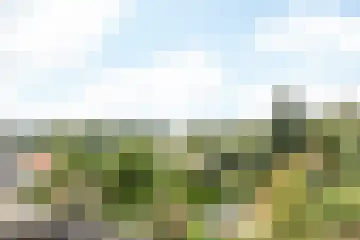 Beukenhof 3 Nuth thumbnail 31