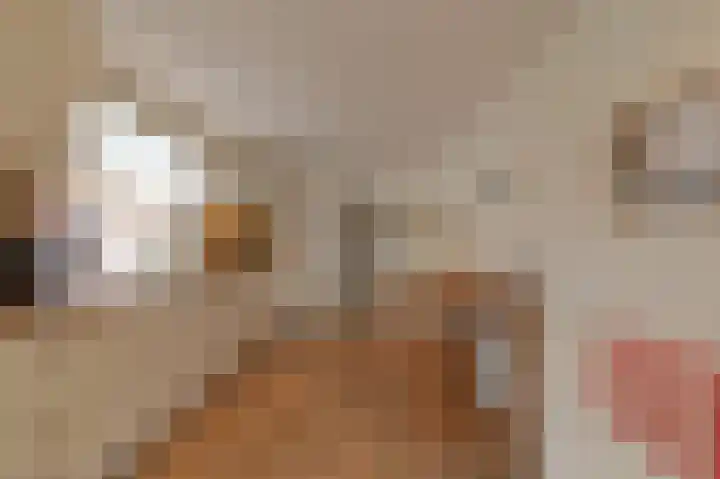 Beukenlaan 10 Heel thumbnail 12