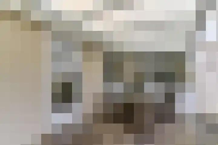 Beukenlaan 10 Heel thumbnail 16