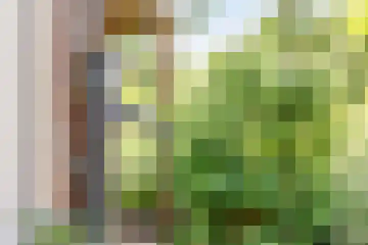 Beukenlaan 103 Borculo thumbnail 24