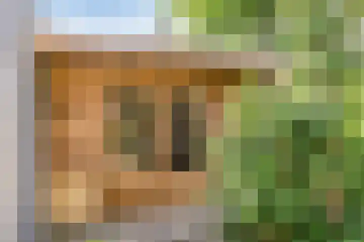 Beukenlaan 103 Borculo thumbnail 25