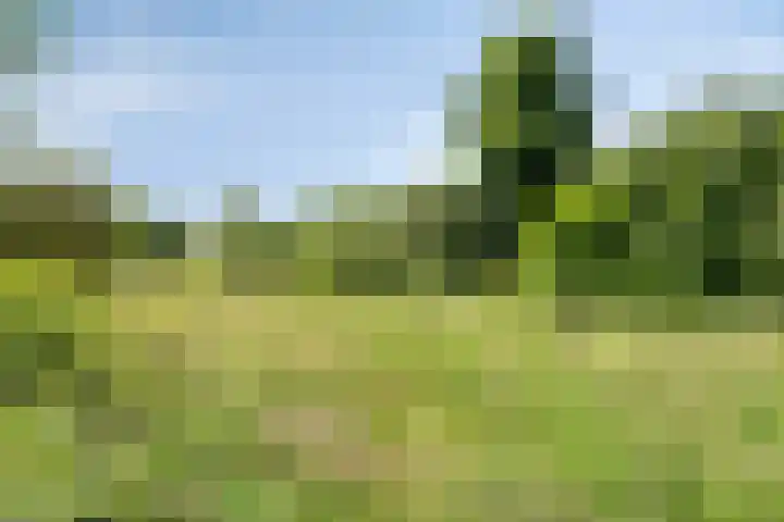 Beukenlaan 103 Borculo thumbnail 28