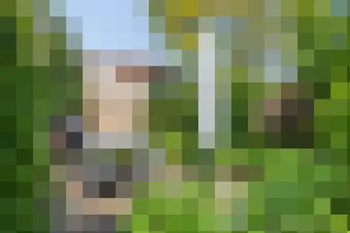 Beukenlaan 103 Borculo thumbnail 31