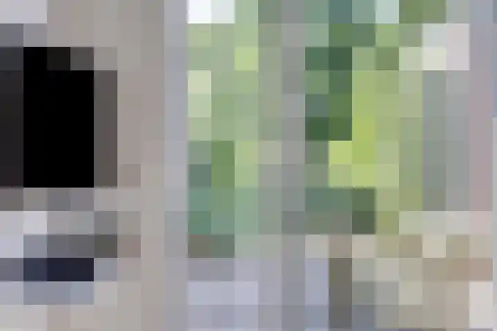Beukenlaan 103 Borculo thumbnail 5