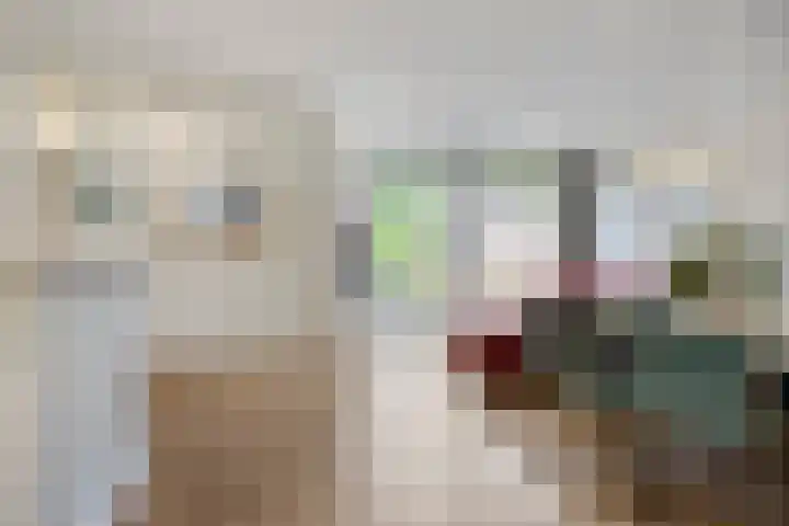 Beukenlaan 103 Borculo thumbnail 6