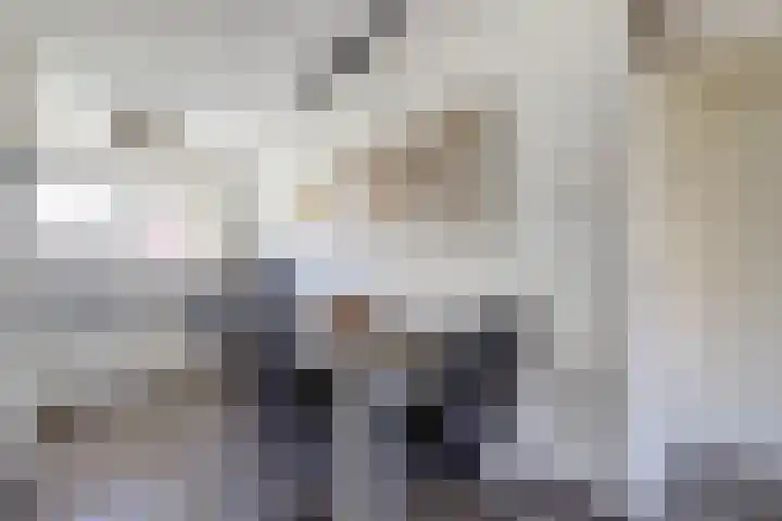 Beukenlaan 13 Alphen thumbnail 14