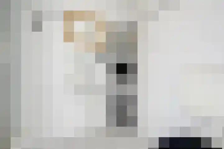 Beukenlaan 13 Alphen thumbnail 25