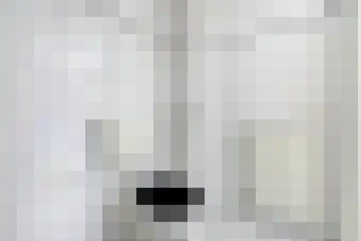 Beukenlaan 13 Alphen thumbnail 26