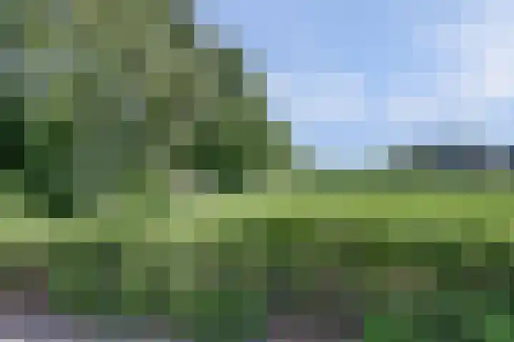 Beukenlaan 13 Alphen thumbnail 36