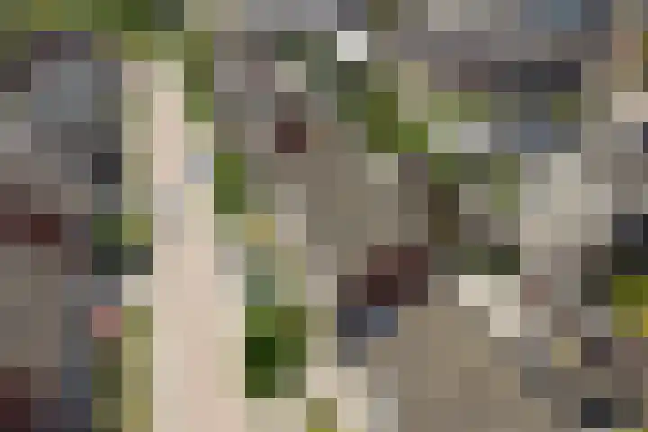 Beukenlaan 13 Alphen thumbnail 40