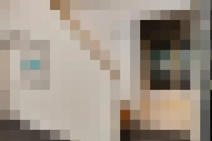 Beukenlaan 2 A 4 Ede thumbnail 19