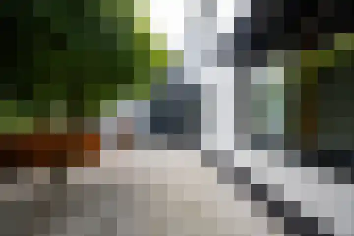 Beukenlaan 2 A 7 Ede thumbnail 20