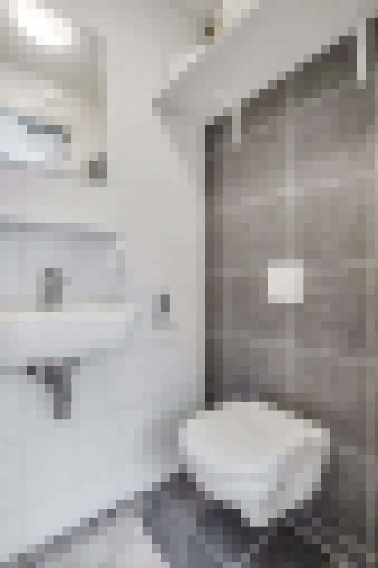 Beukenlaan 2 B 3 Ede thumbnail 10