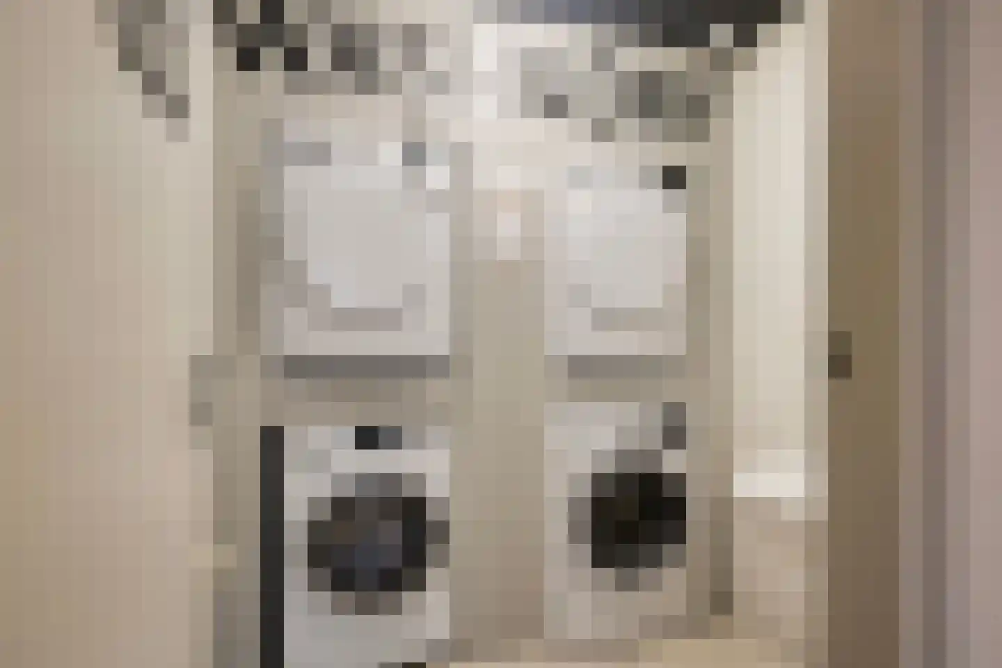 Beukenlaan 2 B 3 Ede thumbnail 19