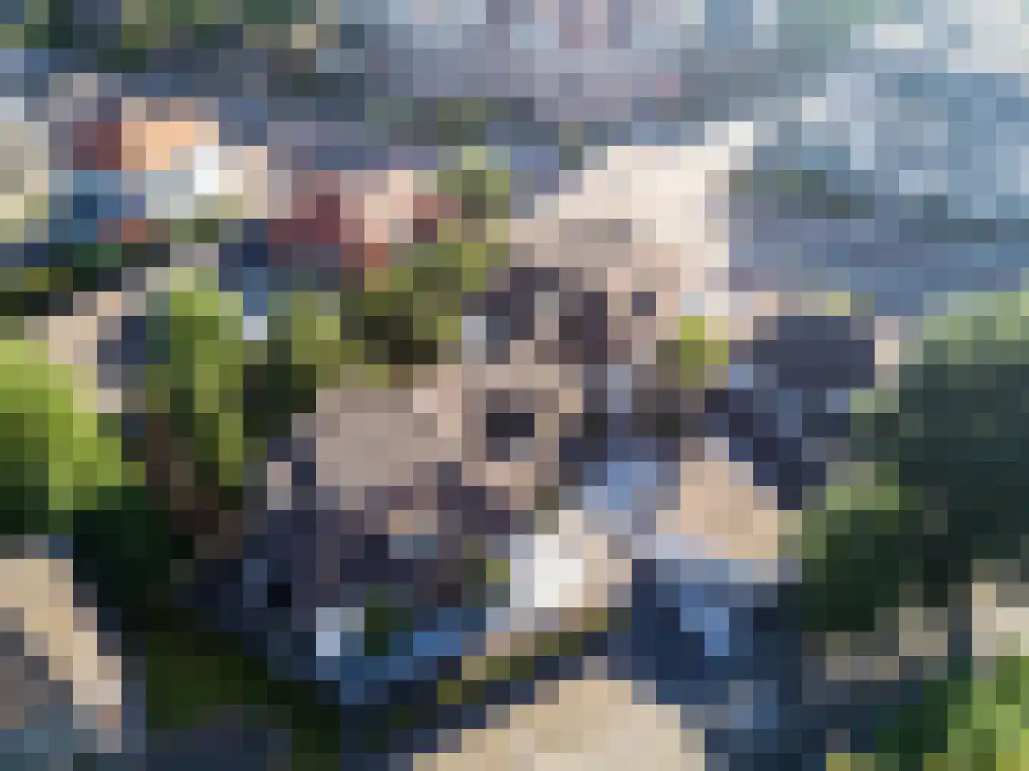 Beukenlaan 2 B 3 Ede thumbnail 24