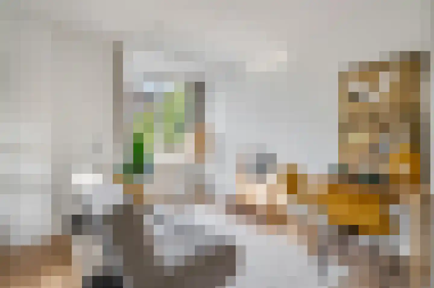 Beukenlaan 2 B 3 Ede foto 3
