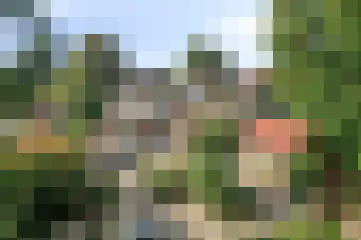 Beukenlaan 25 Dronten