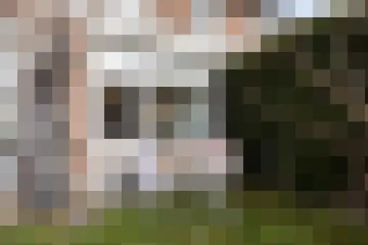Beukenlaan 28 Arnhem thumbnail 36