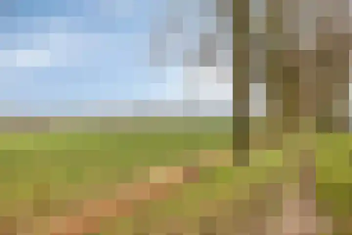 Beukenlaan 28 Arnhem thumbnail 39