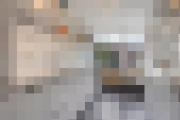 Beukenlaan 28 Arnhem thumbnail 4