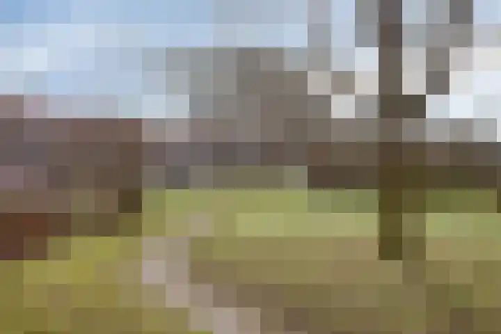 Beukenlaan 28 Arnhem thumbnail 40
