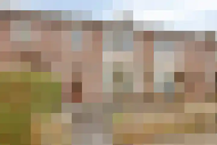 Beukenlaan 28 Arnhem thumbnail 43