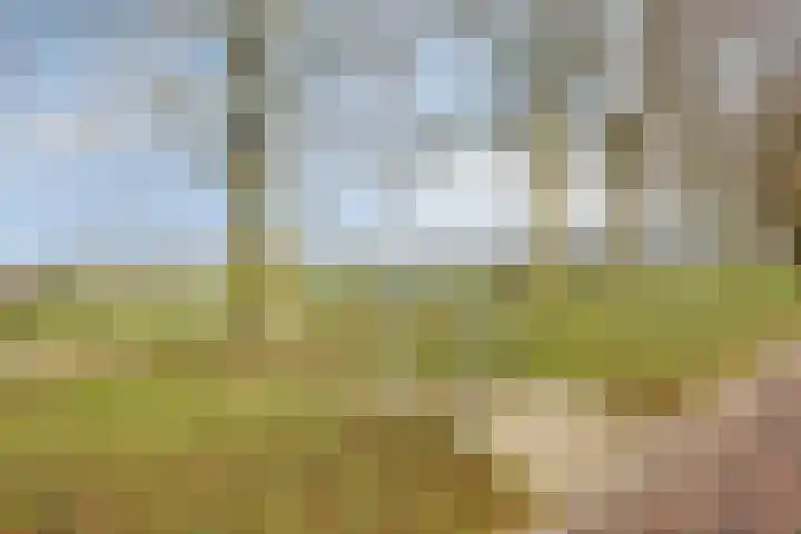 Beukenlaan 28 Arnhem thumbnail 5