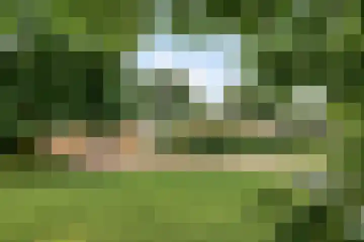 Beukenlaan 3 Heesch thumbnail 10