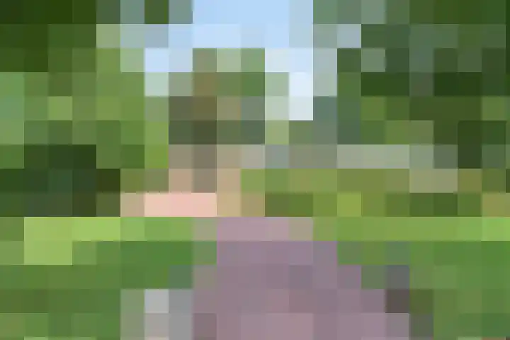 Beukenlaan 3 Heesch thumbnail 12